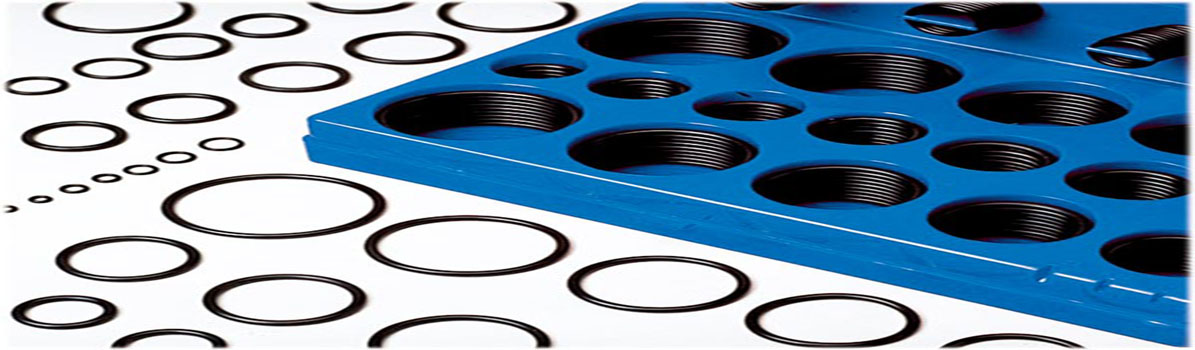 Rubber O Rings Fitco